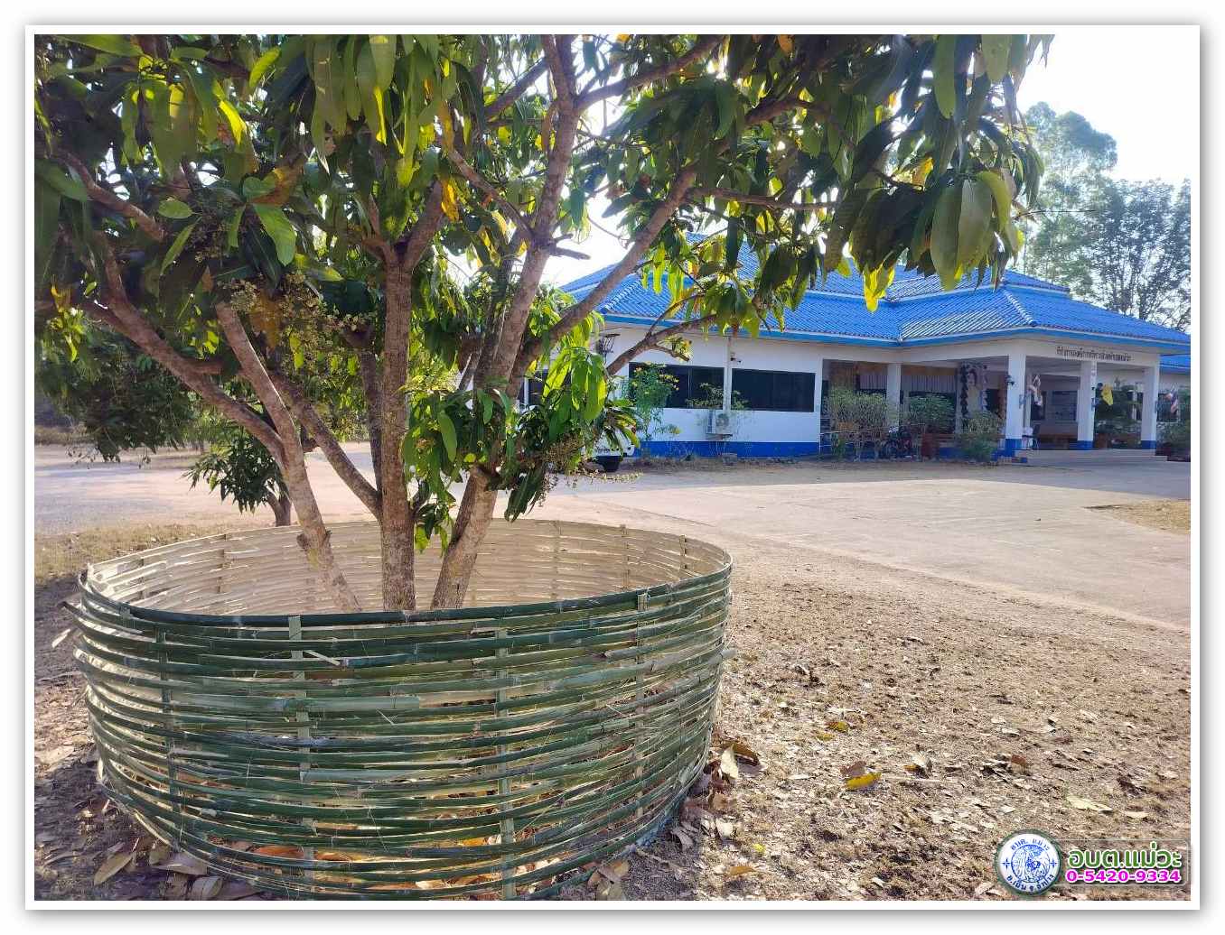 กิจกรรม